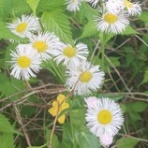 ニュース逆さ読み