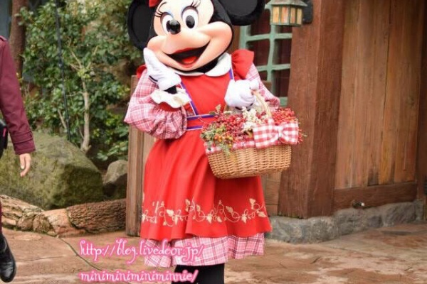 一人ディズニー初心者がミニーちゃんを追うブログ O ベリーちゃん 一人ディズニー初心者がミニーちゃんを追うブログ O ベリーちゃん