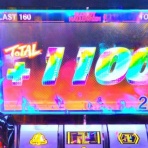 亮磁裏回胴無職記