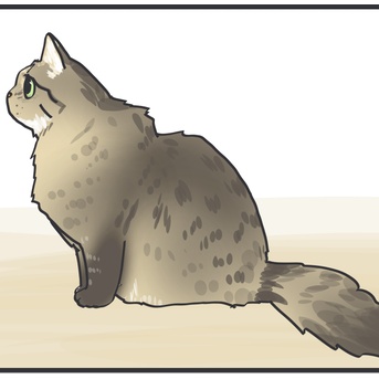 日向ぼっこ大好きマロちゃん