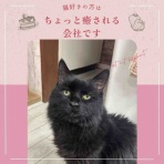 Jam Home エステート・Petite Jam(プチ ジャム) スタッフブログ