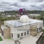 ウメボシ速報