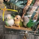 もうすぐクリスマス🎄