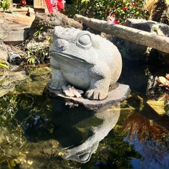 神奈川県厚木市七沢　七沢観音寺　三脚石カエル
