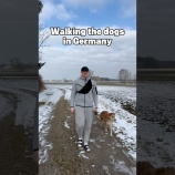 『ドイツ人が体内に持つGPSは犬の散歩のときにだいぶ役立っているらしい』の画像