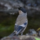 『投稿：「ウソ」だらけ　2022/09/29』の画像