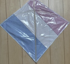 長崎ハタ６