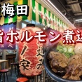 煮込みが美味しいおススメ店です！　大阪 イノゲートビル  乃ノ家 バルチカ03店