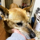 ノー残業デーだよ