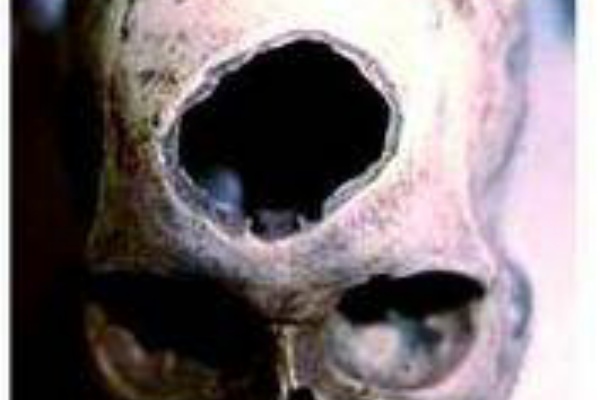 腐女子がこの先生きのこる為のブログ 05年11月