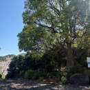 新学期始まってすぐに不登校こじらせる前に相談を