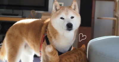 春の日のすりすり♪