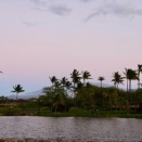 ２０２６年２月１７日及び２月２０日のツアー写真