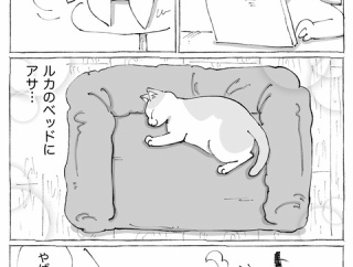 うちの犬のルカ。【１０５】