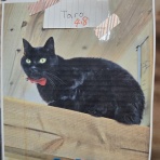 ワンちゃん☆ママン奮闘記