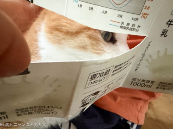 腸活