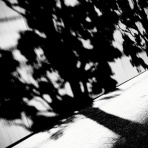 ＝佐藤太の監督雑記＝