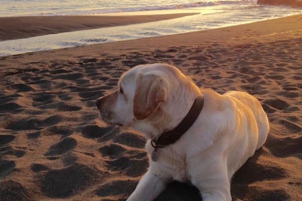 湘南 アラフィフ おしゃれ シンプルライフ おひとりさま 湘南 アラフィフ おしゃれ シンプルライフ おひとりさま