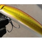 ありがとう鹿島灘2015年水揚げ②