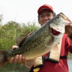 Ｓｉｎｏｖｉ Ｃａｌｃｉｏ