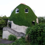 オバサンヘアーでゴーゴー