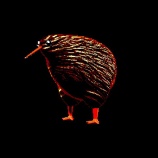 『この動画を見ると何かいいことが起きるらしいですよ』の画像