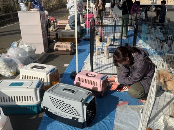 譲渡会が終わって、、、撤収作業も大変です😅💦