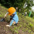 親子で木を植えよう！