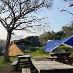 たぬきパラダイス