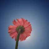 『迷ったときは、大きく成長するときのサインですよ～✲』の画像