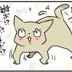 くららんち。～B型夫婦と猫２匹の日常～