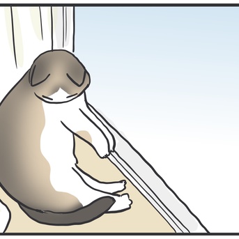 29日はぺーやんの日