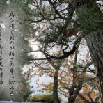 時の玉手箱