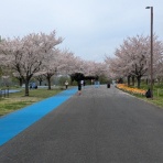 めざせ50代からサブ3、そしてその向こうへ