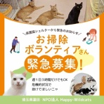 シェルターボラ日記🌸🐱