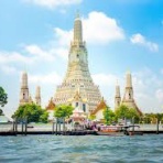 ビビの役に立たないシナリオ