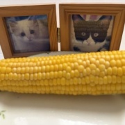 ウランにとうもろこしをお供えしました