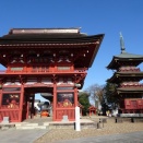 【塔巡録】板橋不動尊｜江戸極彩色の彫刻が咲く安産の祈り［茨城］
