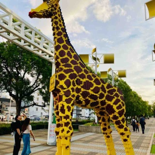 Awesome！！とおるの日記