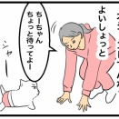 17歳ハイシニアちーちゃんの今｜ご飯・お散歩・夜の変化について