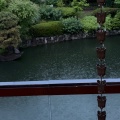 5月13日のお稽古ー平花月之式、濃茶薄茶平点前
