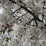 ENJOYバドミントン教室へようこそ