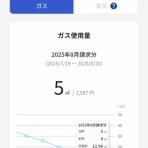 毎月5万は貯金したい(*´ω`)底辺貧乏独女の節約生活