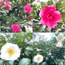 介護と古武術２