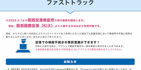 スイスの街角から 花粉症