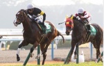【競馬】アンチ感情とか抜きにしてガチで上手いと思う騎手