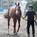 【2歳新馬】アーモンドアイ2番子プロメサアルムンド帰厩