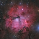 TASConリコリモ　GUM 15