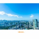 [0116]　四区域モーション決定項。