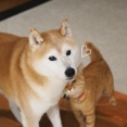 まんざらでもない？